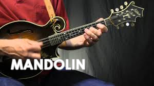 mandolinn